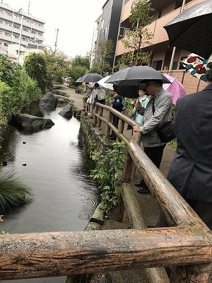 癒されるせせらぎ緑道でした！