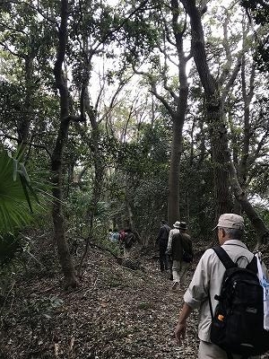 小高い丘が連なり、点在する社寺に立ち寄って進んでいきました。