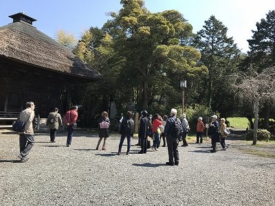 1922年に国の史跡となり、中世の姿が浄土庭園として整備されています!