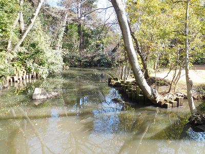 庭園内には小さな小川が流れていて風情があります。