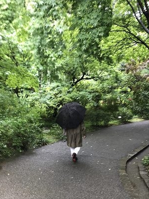 雨が降ったおかげで、みずみずしい樹木と若葉、鮮やかな緑に大変心が癒されました。