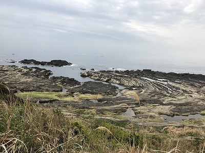 城ヶ島の散策コースは海を見下ろしながら歩きます。景色も最高!(^^)!