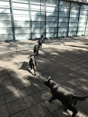 可愛い過ぎて、この場を離れられなくなりました(笑)