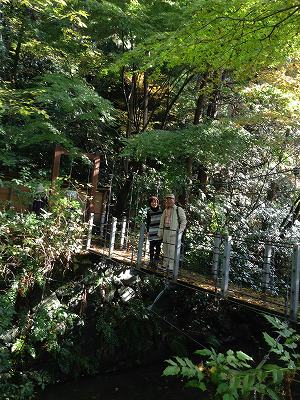 ここの「親水緑道」は帷子川改修時に整備された水と緑を生かした素敵な公園でした(^^♪ もう一度来てみたいと思いました!