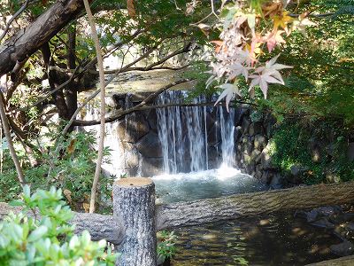 浄水場をぐるりと回り、坂を下れば・・・きれいな「白糸の滝」が(^^♪ここは白根公園の一角。