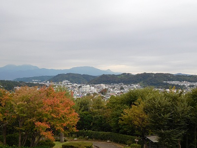 展望台からの眺めです。お天気が曇りでしたので、あいにく富士山は雲に隠れていました((+_+))　でも晴天の時の眺めは最高だ！！と、確信できるほど、素敵な眺めでした(^^♪