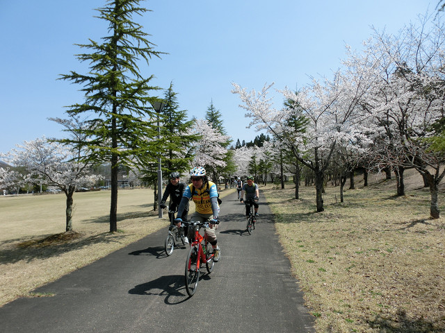 公園内を走る