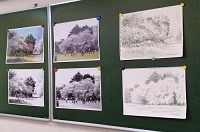 教室での最終日、梅と桜の風景を描く