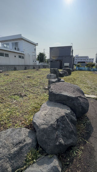 2件 : 草刈り・モミの木の剪定