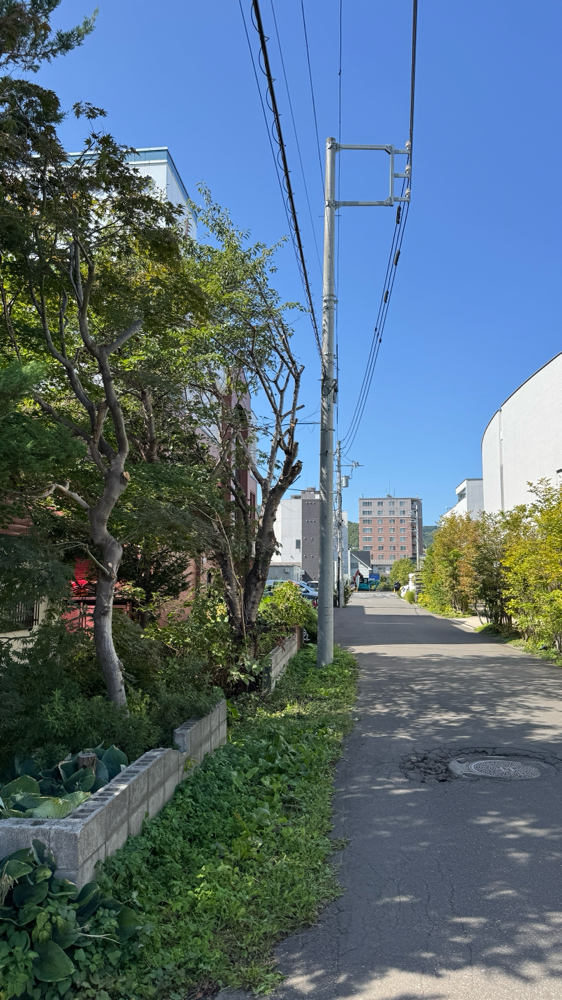 伐採、枝切りなど （二日予定）