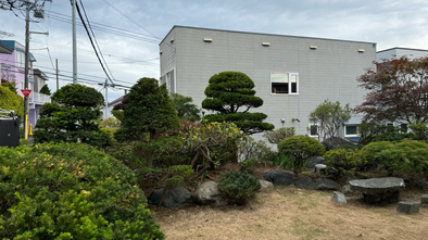 庭全体の剪定など