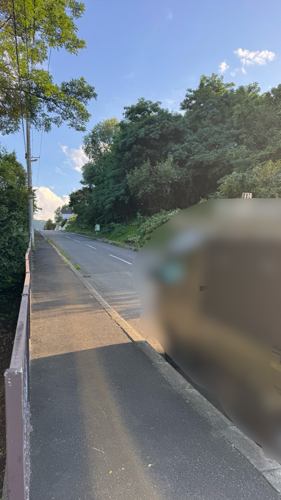 道路に越境しているニセアカシアの枝切りと伐採