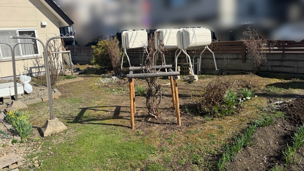 昨日の残務処理と冬囲い外し
