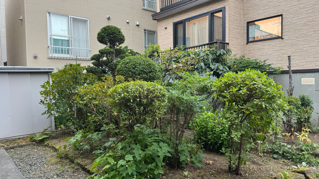 お庭全体の剪定と手抜き除草