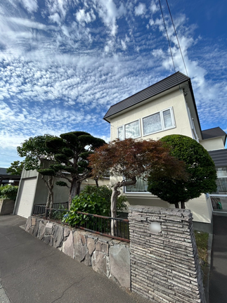 全体の剪定と除草剤散布