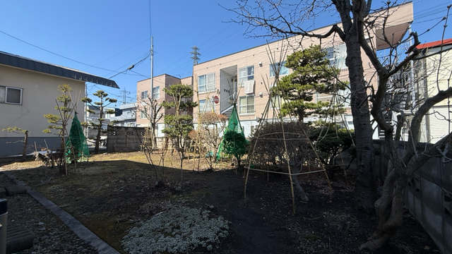 冬囲い外し