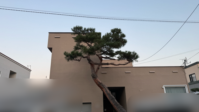 お庭全体の剪定