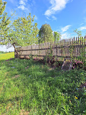 Liablingsfarbn