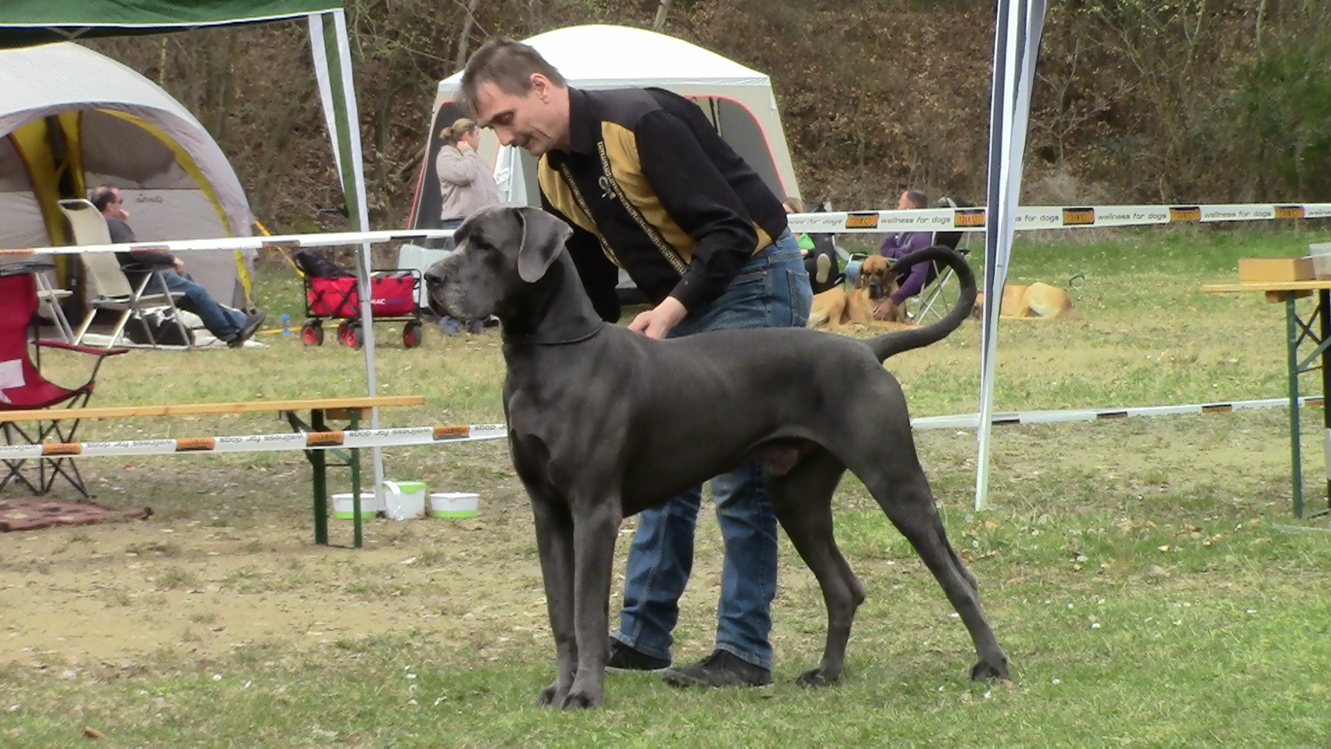 Fernando de Beaumont : DDC Ortsgruppe Koblenz