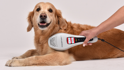 Akupunktur mit Laserdusche