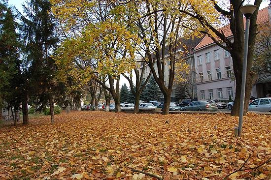 Осень в Ужгороде