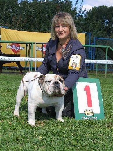 Ziko Karmapa (Tsitseron ot Tsefeia x Brillant Dog Vega Innah)(вл.Крыжановский В.) Ukraine