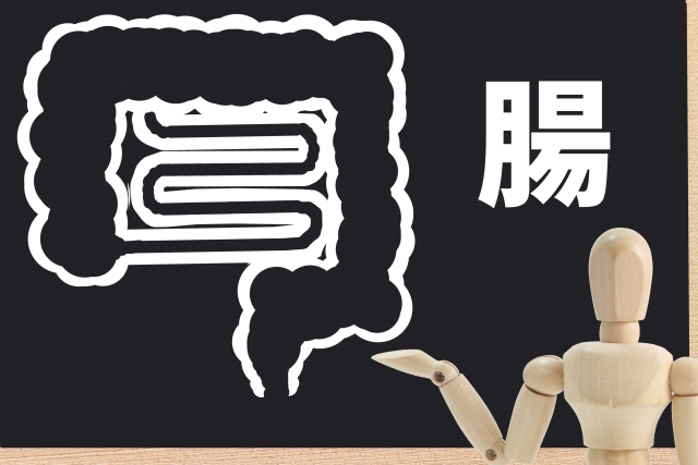 腸の調子を整えよう。