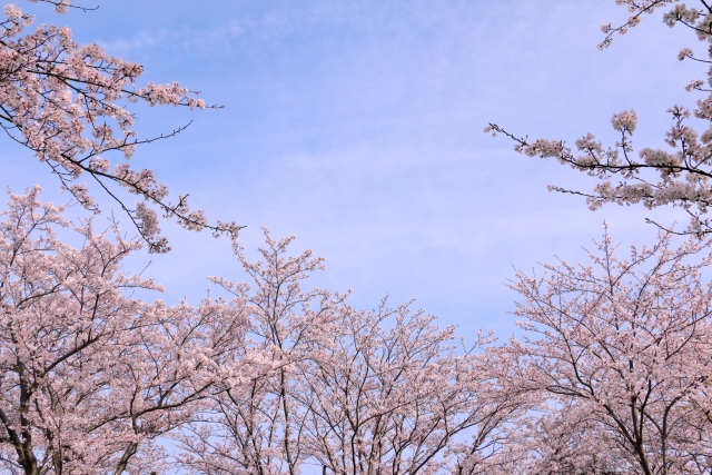 ３月ありがとうございました。