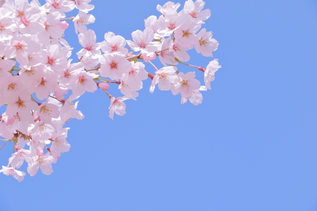 3月もありがとうございました！