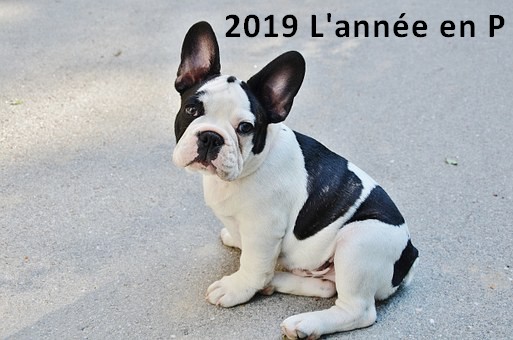 Comment Appeler Chien En 2019 Année En P Educateur Canin