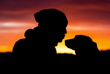 un chien et une femme face à face sous un coucher de soleil par coach canin 16 educateur canin charente