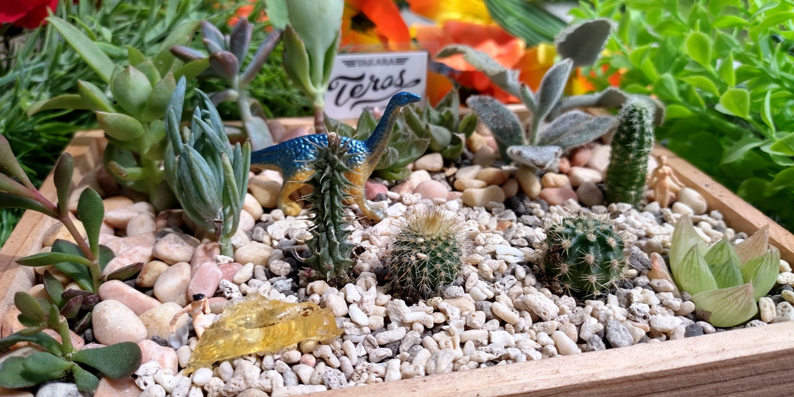 sweetbasket セメントリース カクトロコ 多肉植物寄せ植えに 中古品 sweetbasket セメントリース カクトロコ 多肉植物寄せ植えに 中古品