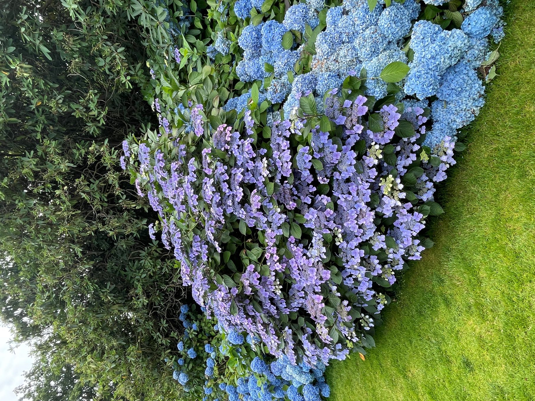 Nymans House and Gardens