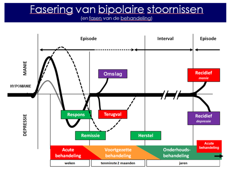 Snel fietsen (Rapid clycling) De website
