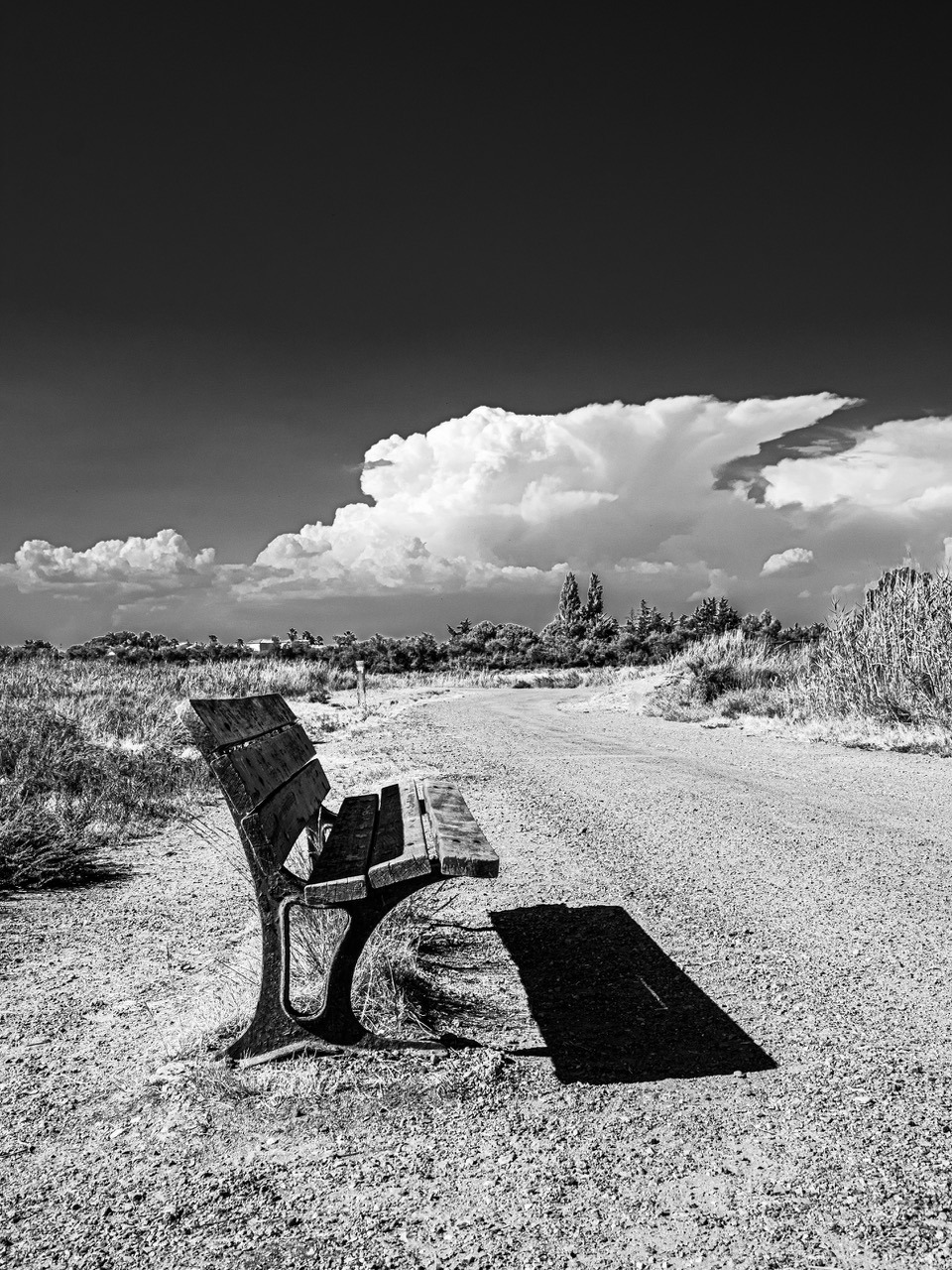 NO SELFIX, "Le banc est une éventualité", photographie numérique, 60X80 CM, 150€