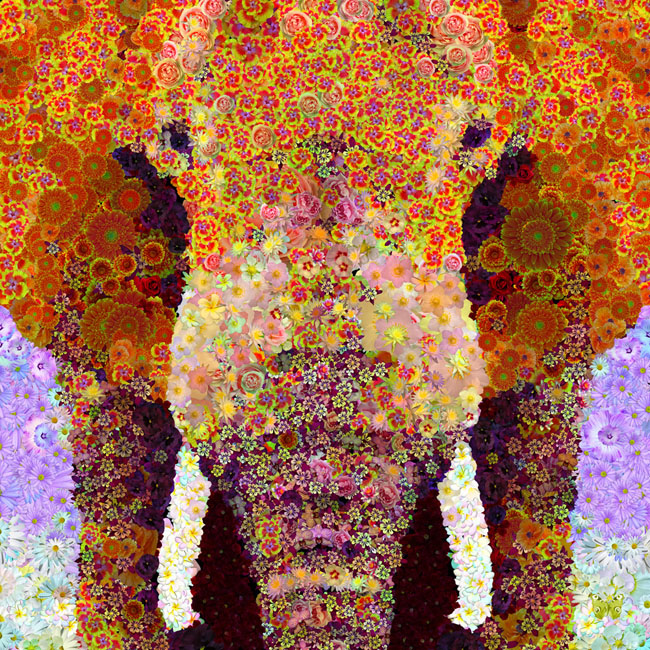 DURIEU-ERIN, "Elephant Out Of Flowers", Art numérique avec réalité augmentée, 80 cm x 80 cm, 1290 €