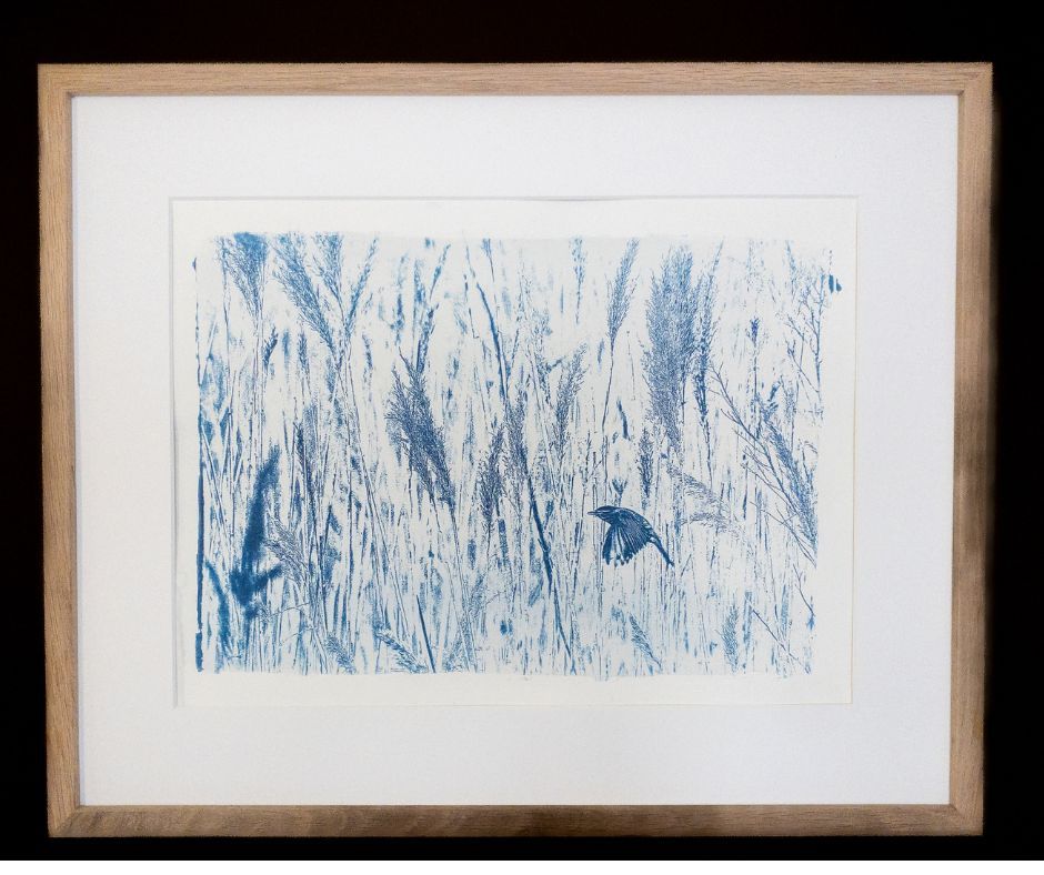 Isabelle PUEYO, " solitaire", Cyanotype, alchimie de sels de fer sur papier aquarelle,60 x 40 cm, 800€