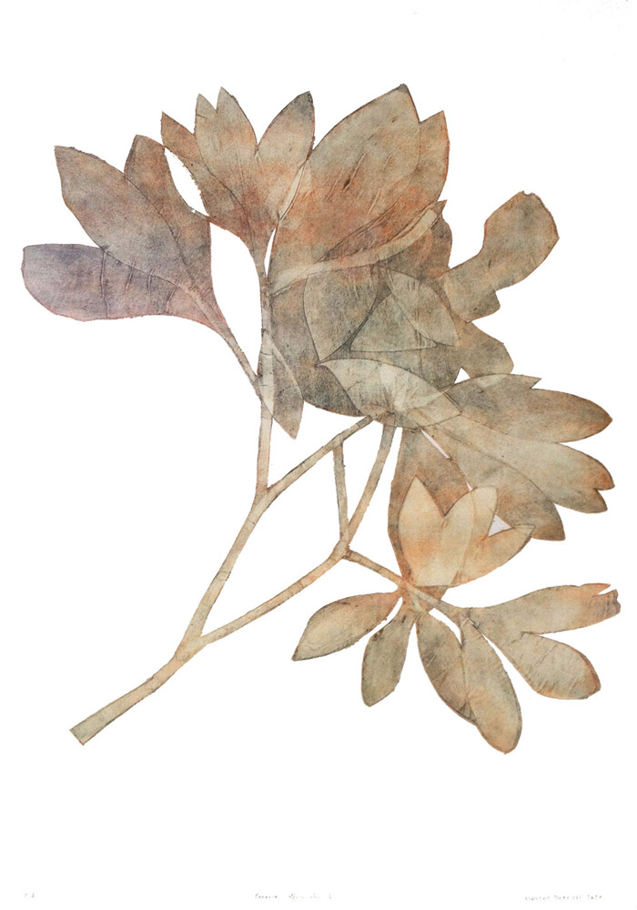 Vincent DEZEUZE, "Paéonia officinalis L", Gravure, cellulogravure sur papier Arches 250gr, 75x105 cm, 850 €
