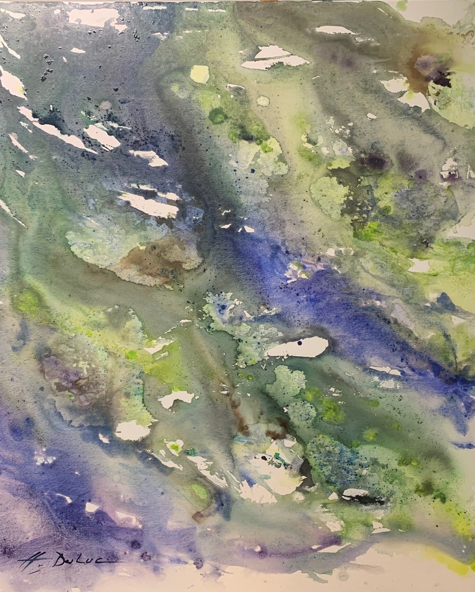 H.DULUC, "Camargue", Huile sur toile, 120X100,850€