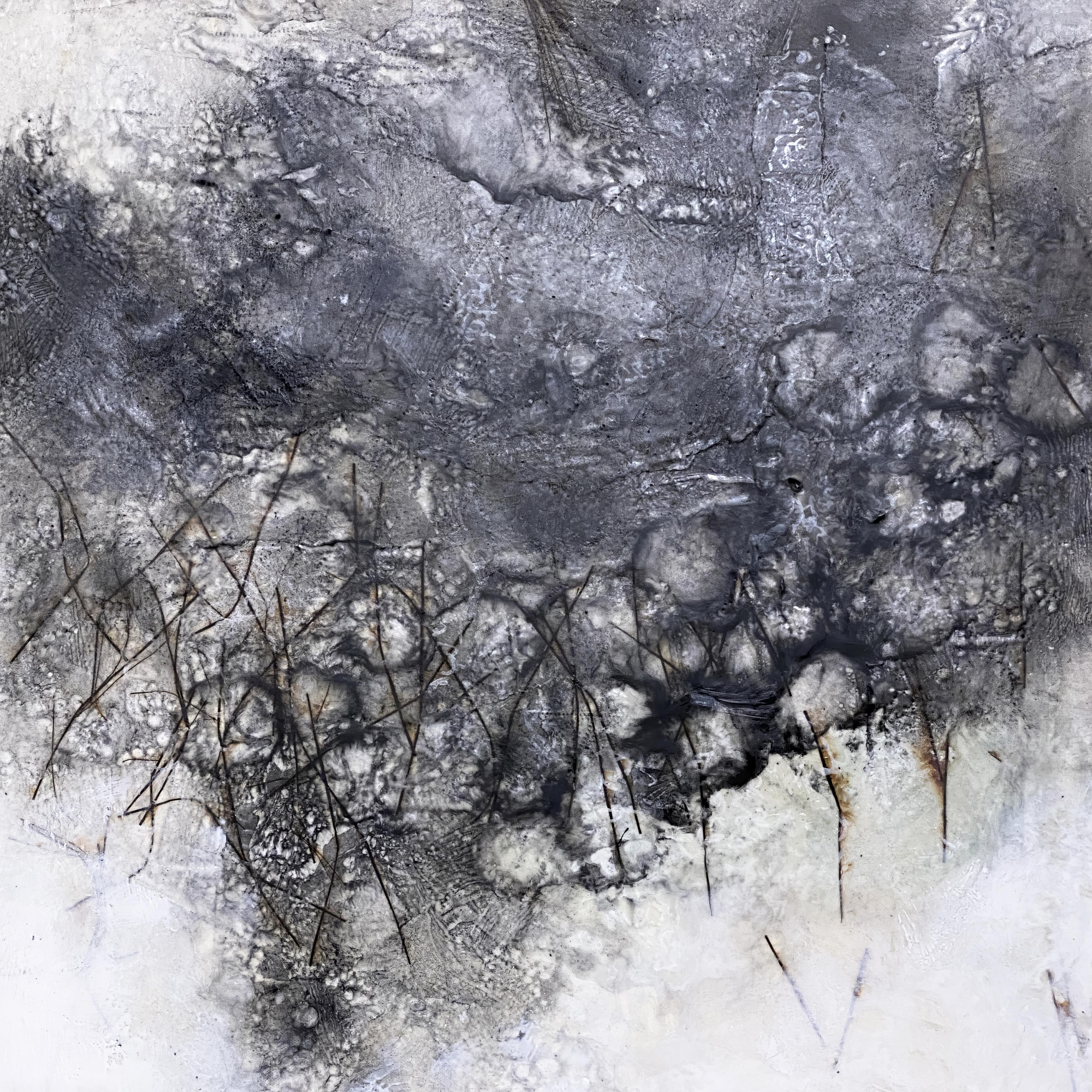 BLANC FONTENILLE Benedicte, " the pond", mixte (papier, fusain, encaustique)), 61/61cm,920€ 