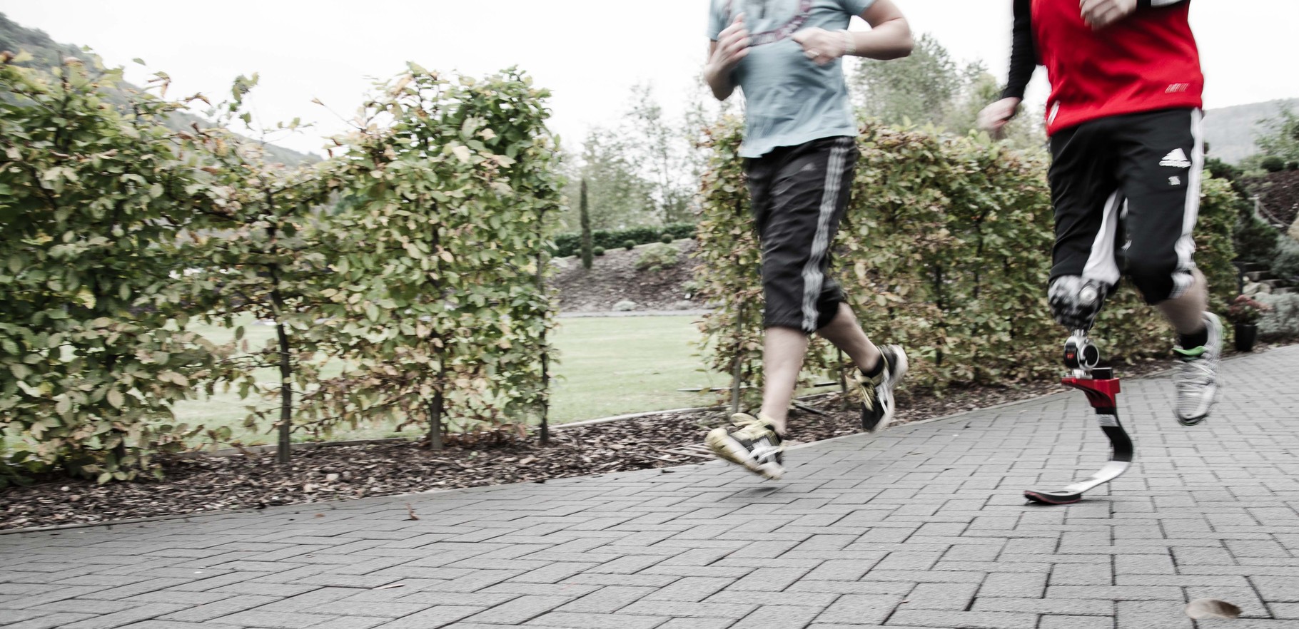 Geschützter Bereich - Login - orthos-ot