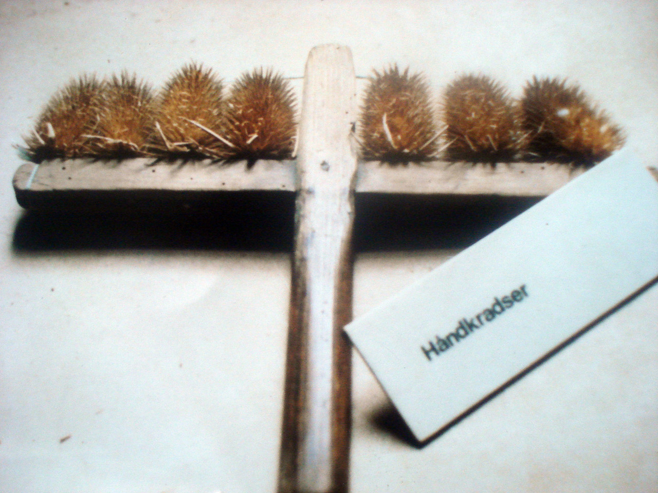 Wolle: Kardieren,kämmen Spinnen mit Spinnstock, Spindel und Spinnrad