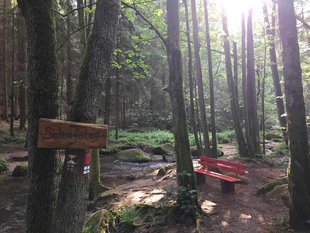 der "Schafsteg" im Lerautal