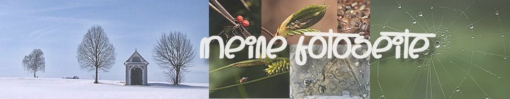 www.siegella.de