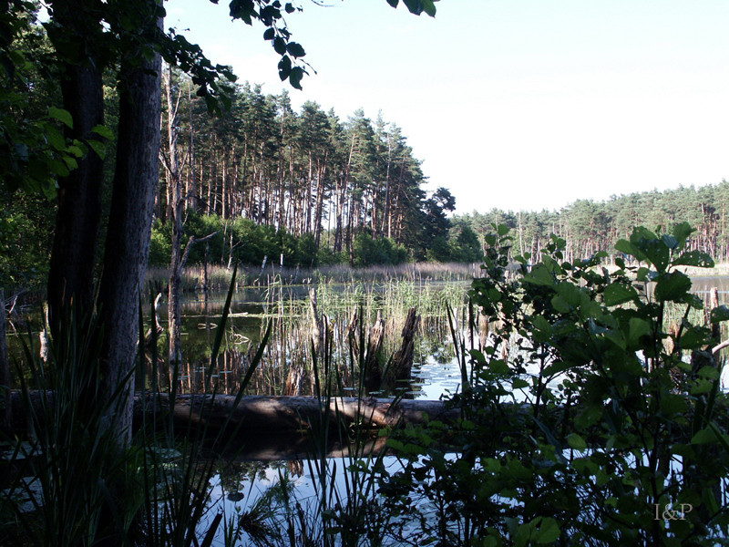 Müritz Nationalpark