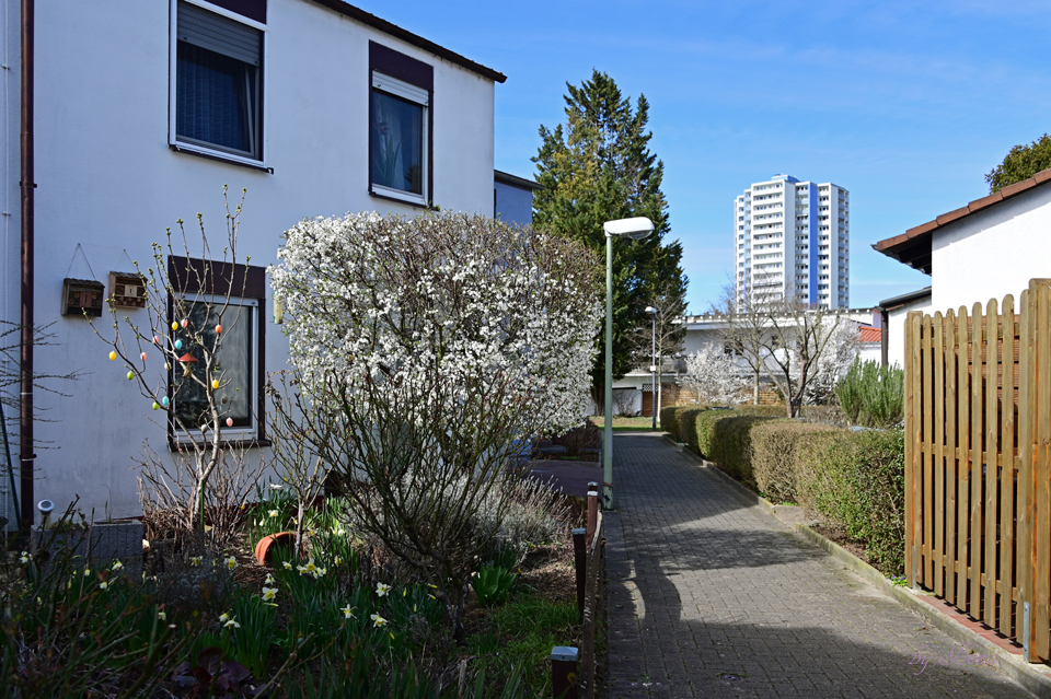 Schachtelhausen