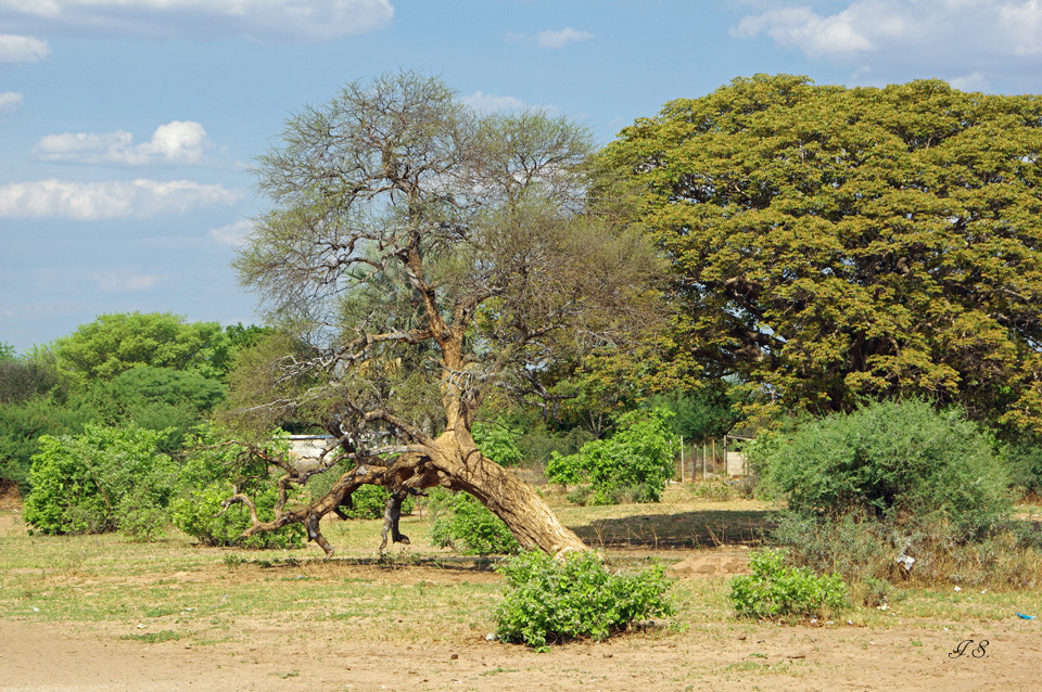 Landschaft nahe Vangu-Vangu