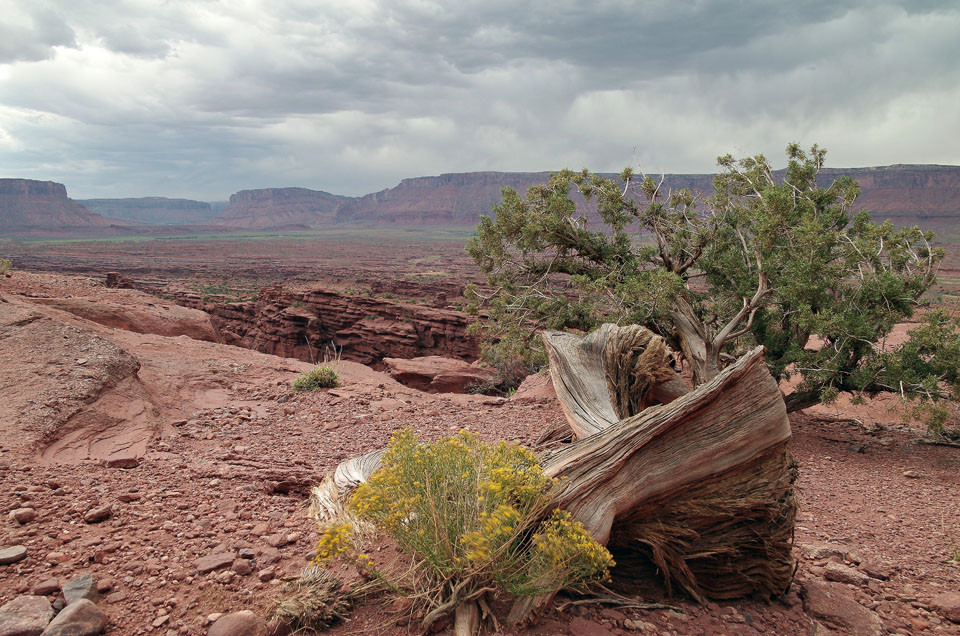 Wanderung durchs Capitol Reef