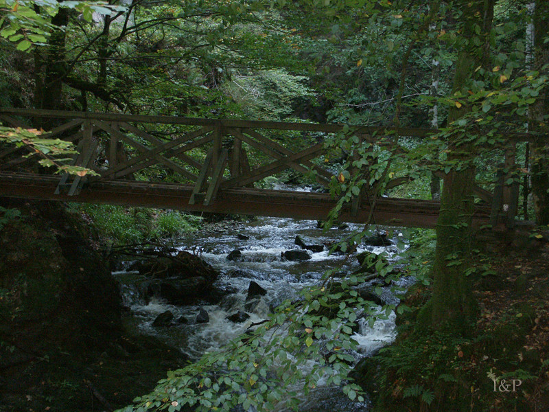 Ravenna-Schlucht