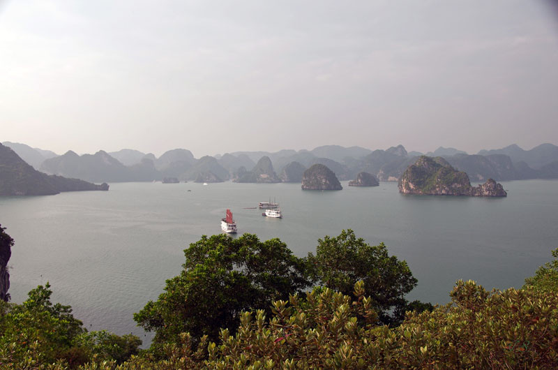 Halong Bucht, kleine Insel